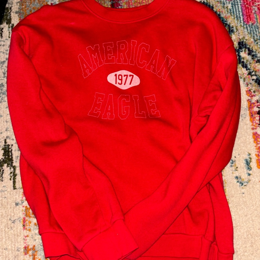 AE sweatshirt